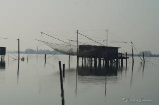 Foto 121 di 206