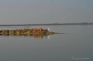 Foto 146 di 206