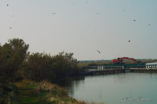 Foto 151 di 206