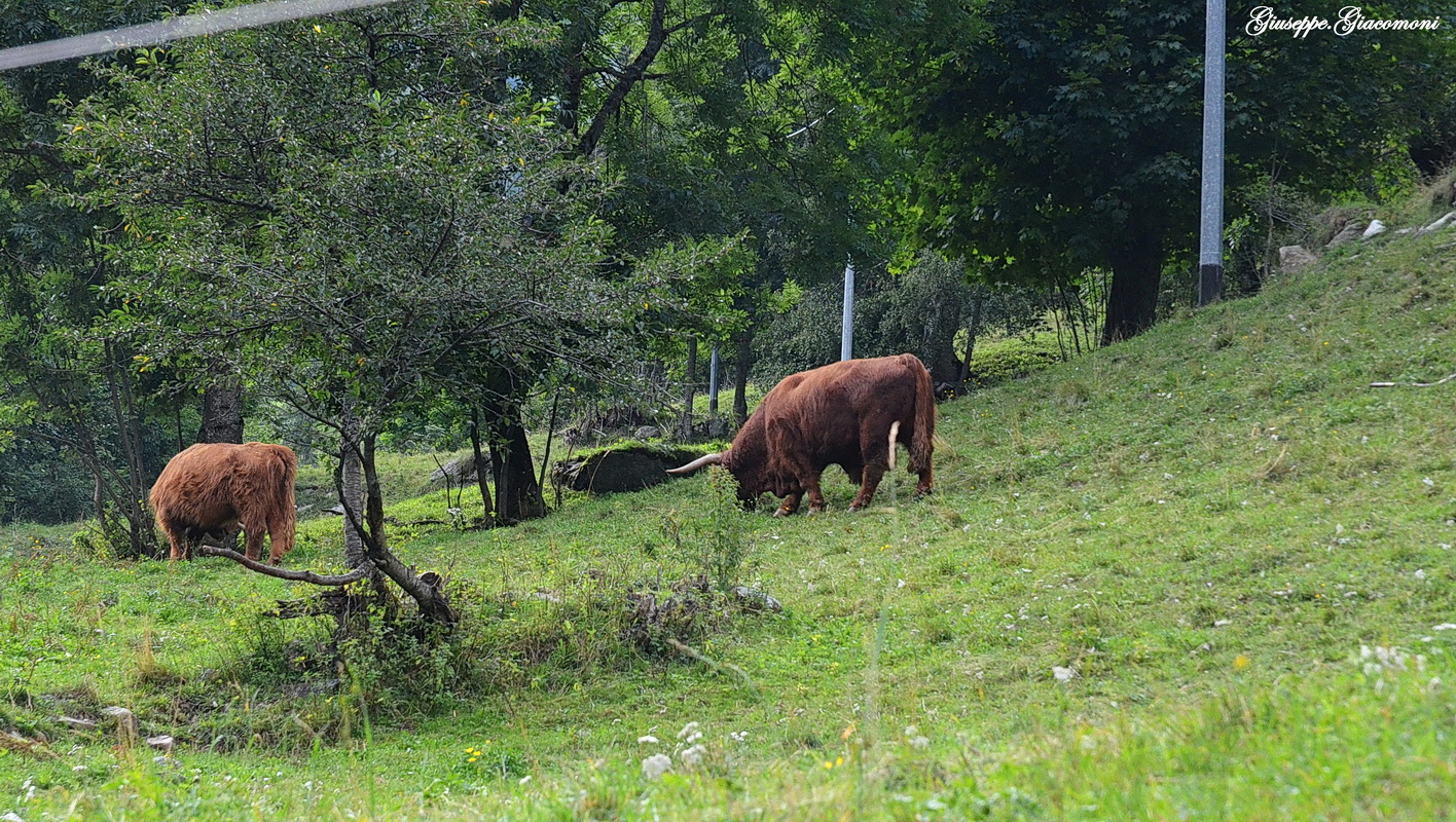 Foto 007 104