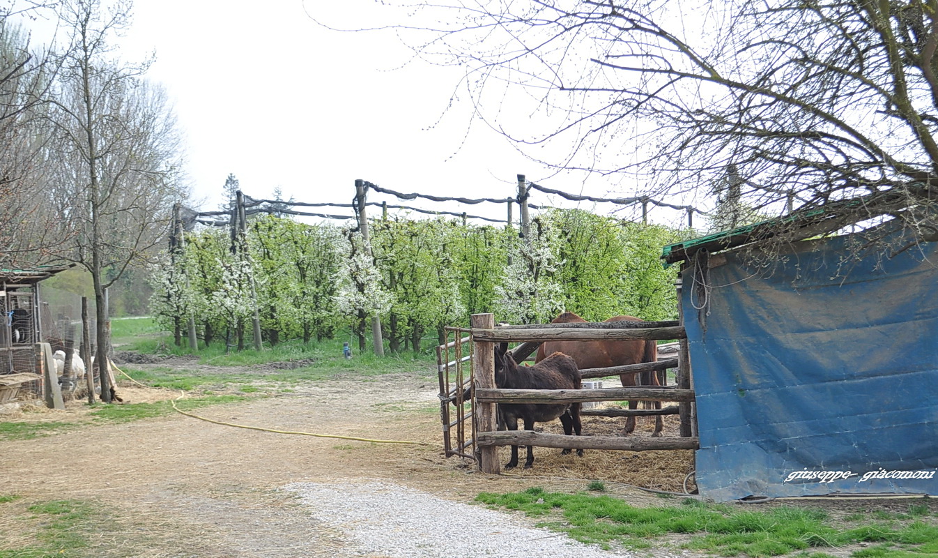 Foto 033 104