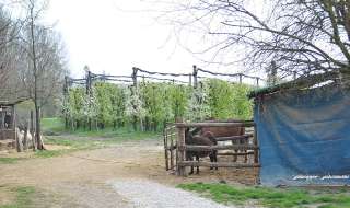 Foto 033 104