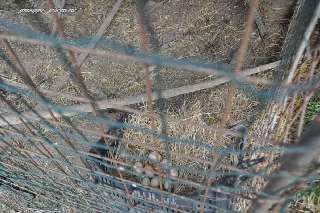 Foto 048 104