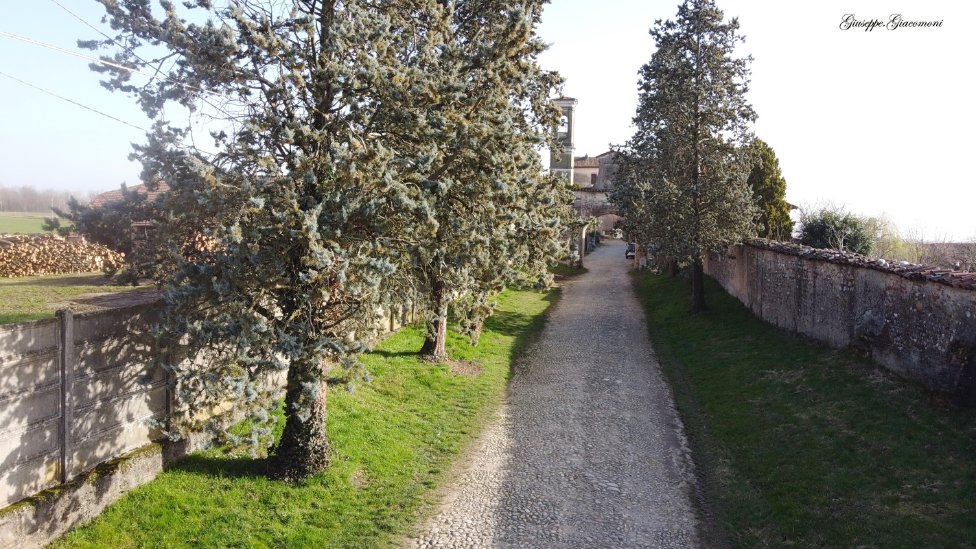 42