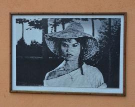 Foto 18 di 74
