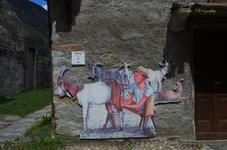 Foto 21 di 61