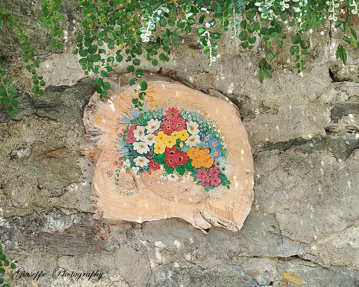 Foto 11 di 43