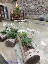 Foto 37 di 43