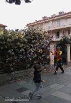 Foto 151 di 151