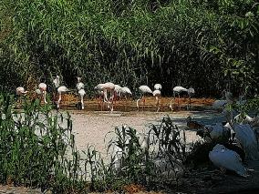 Foto 11 di 22
