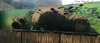 Foto 18 di 22