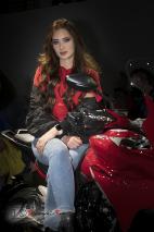Foto 144 di 213