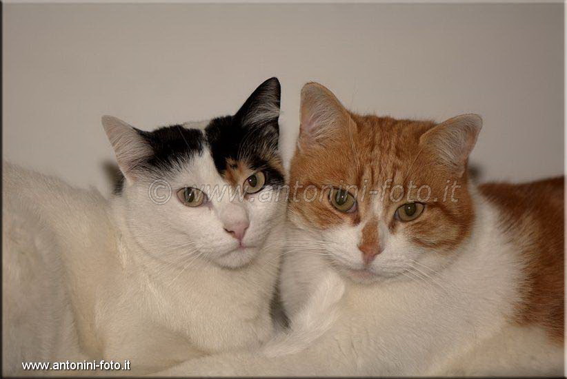Gaia e Leo