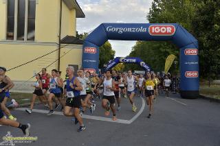 Foto 125 di 144