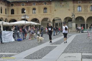 Foto 0062 di 146