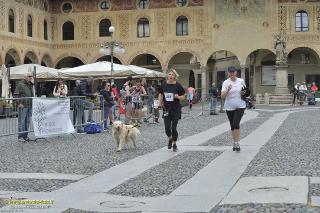 Foto 0063 di 146