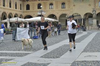 Foto 0064 di 146