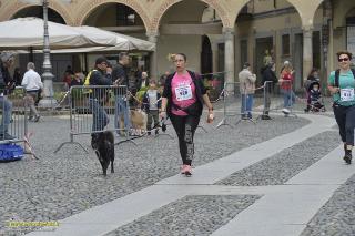 Foto 0064 di 144