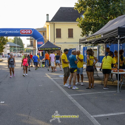 Foto 002 di 95