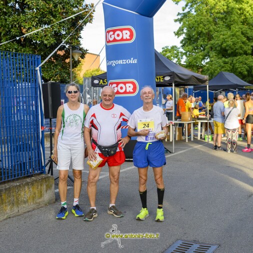 Foto 016 di 95