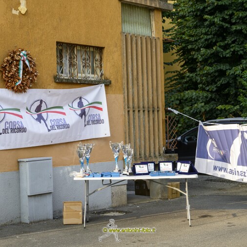 Foto 002 di 145