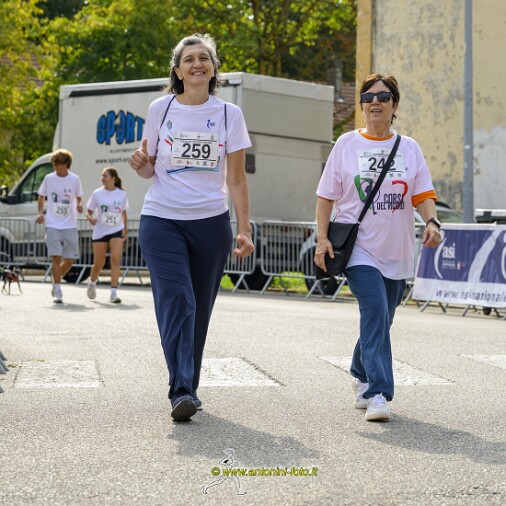 Foto 002 di 73