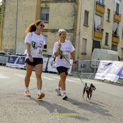 Foto 011 di 73