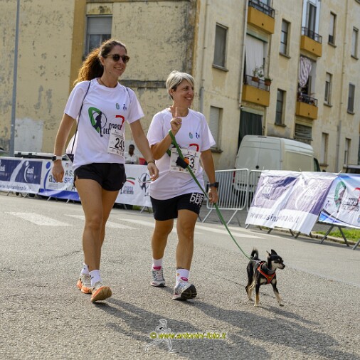 Foto 012 di 73