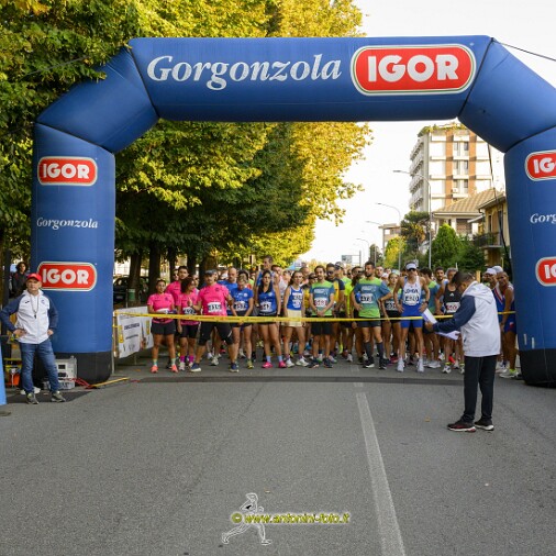 Foto 011 di 119