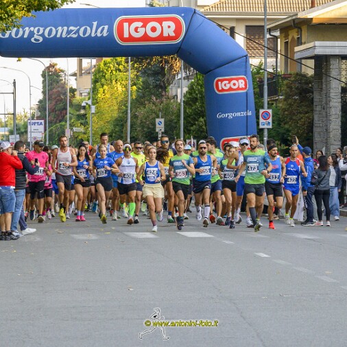 Foto 014 di 119