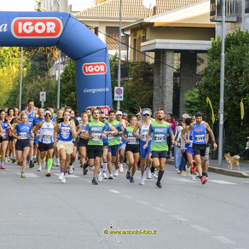 Foto 016 di 119