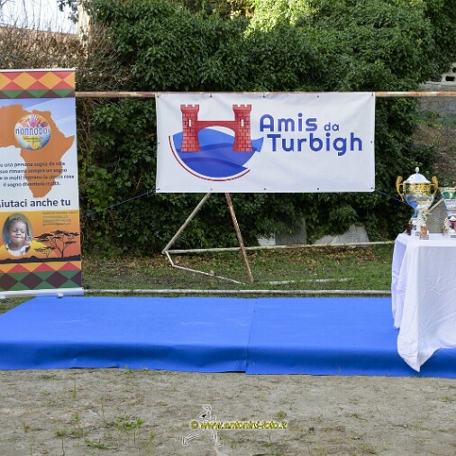 Foto 003 di 169