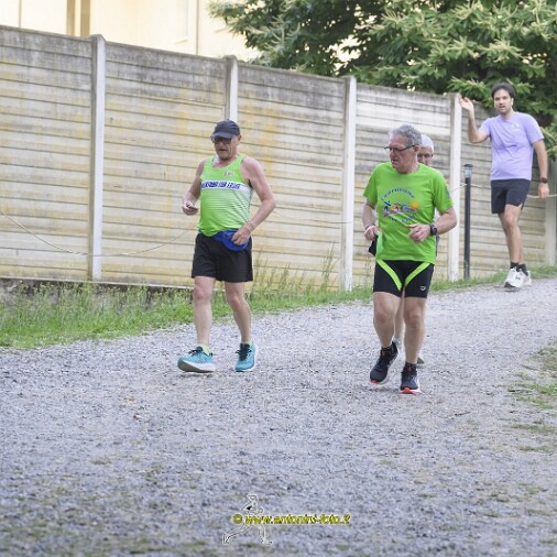 Foto 017 di 103