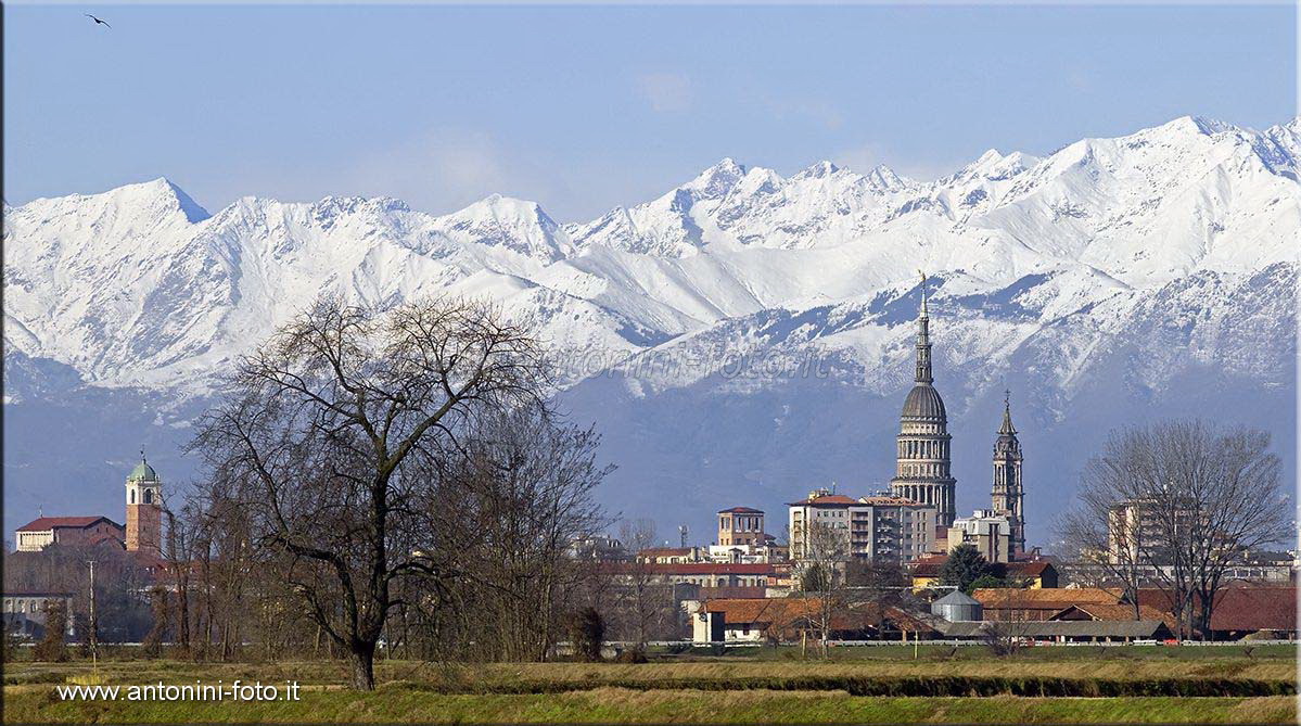 Novara