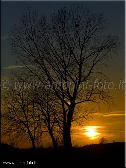 Tramonto a Trecate