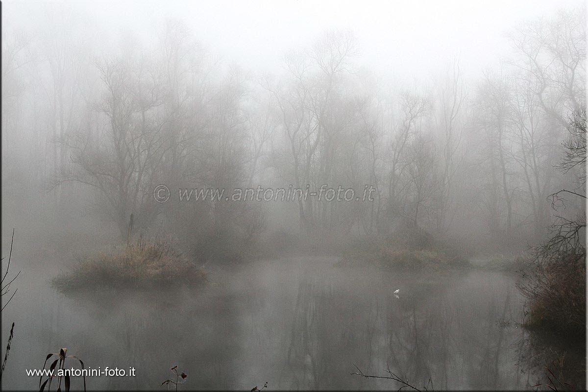 Nebbia sul Ticino