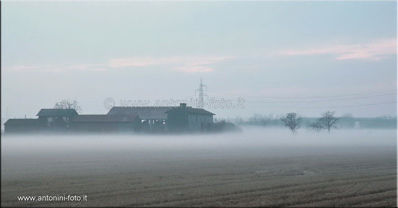 Sale la nebbia