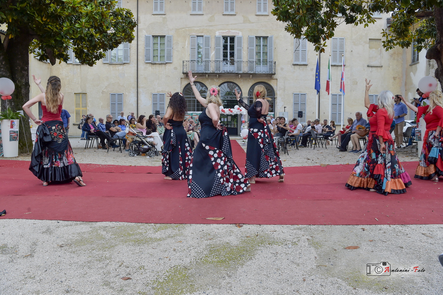 Foto 224 di 596