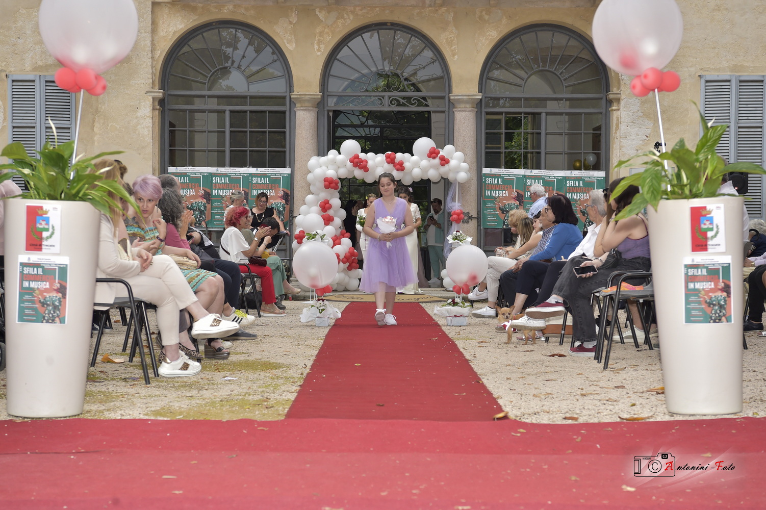 Foto 569 di 596