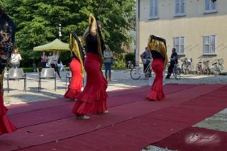 Foto 058 di 596