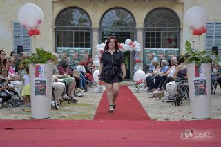 Foto 320 di 596
